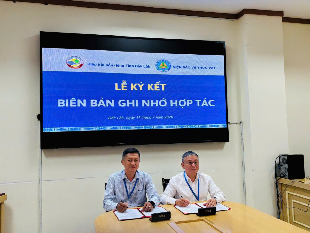 Đắk Lắk tăng cường hợp tác nghiên cứu và chuyển giao công nghệ phát triển ngành sầu riêng bền vững