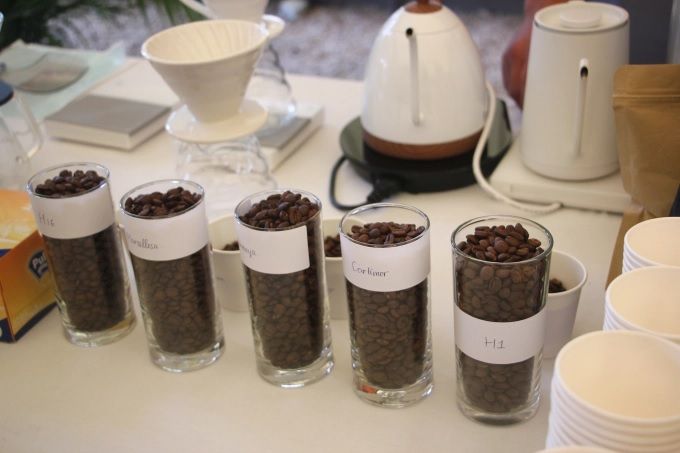 Pháp hỗ trợ cải tạo việc trồng cà phê chè ở Tây Bắc Việt Nam