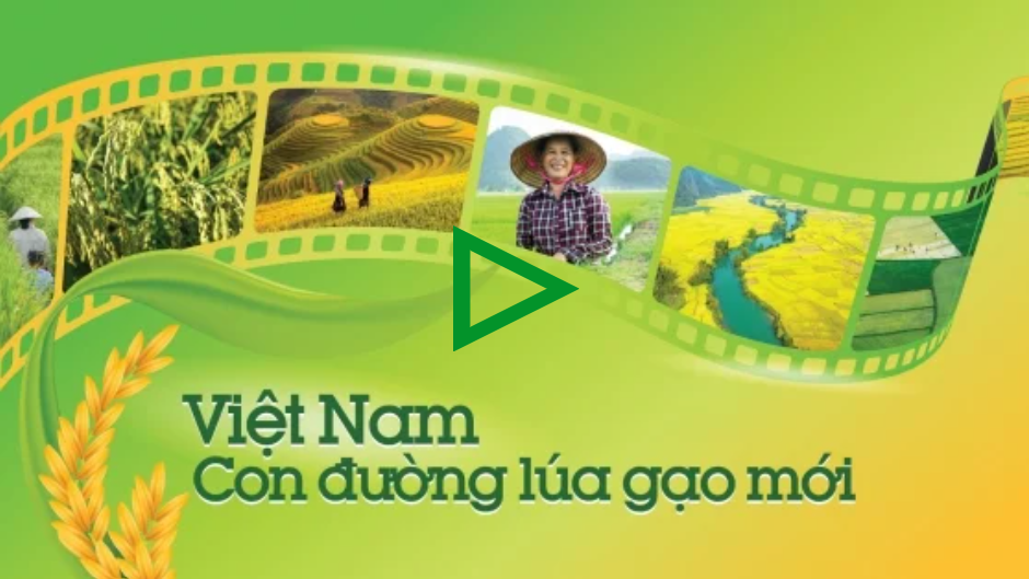 Vietnam - The Road to Rice Transformation